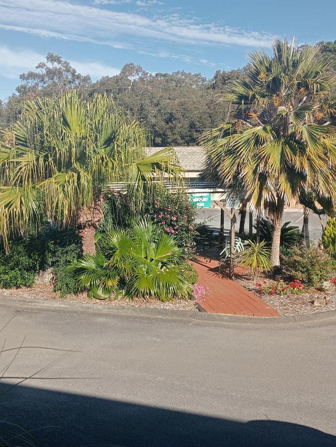 Forster Palms Motel エクステリア 写真