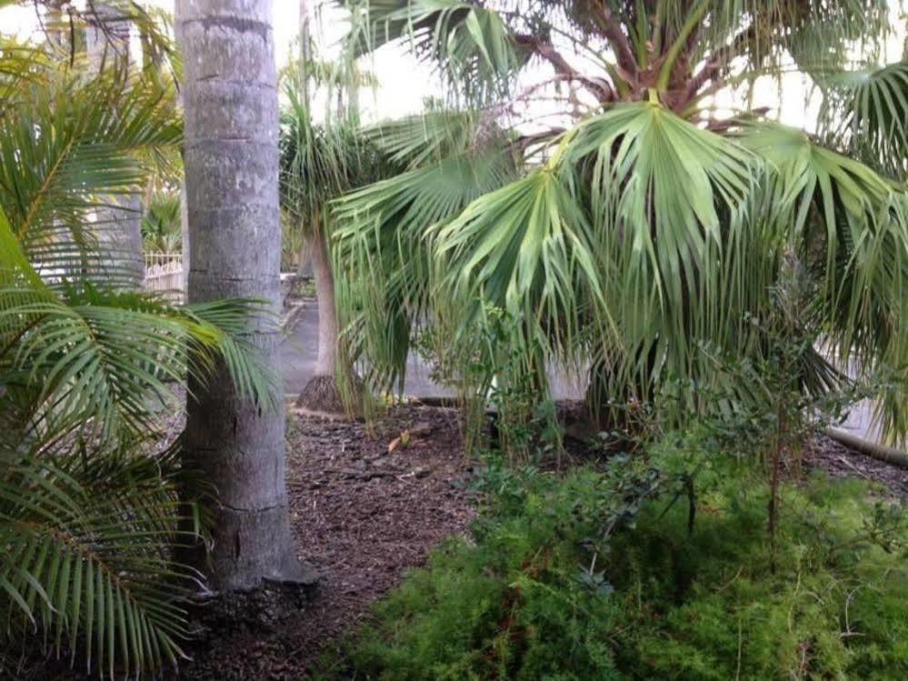 Forster Palms Motel エクステリア 写真